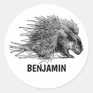 Vintage Porcupine med Namn Personlig School Runt Klistermärke