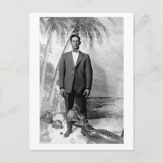 Vintage Postcard Man med Alligator Vykort (Framsida)