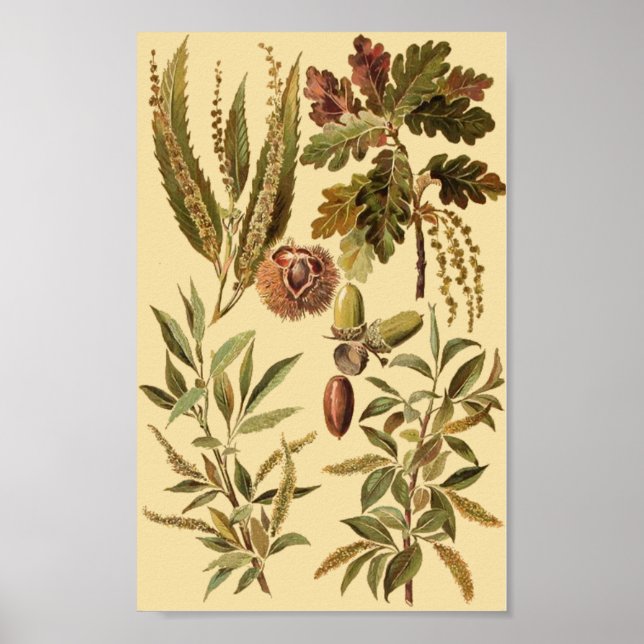 Vintage Poster (Framsidan)