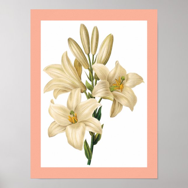 Vintage poster blomma 1 (Framsidan)