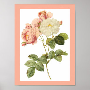 Vintage poster blomma 2