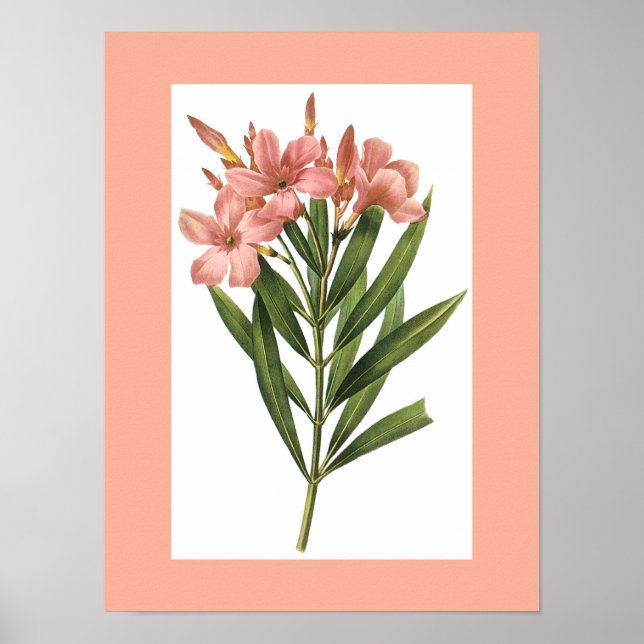 Vintage poster blomma 3 (Framsidan)