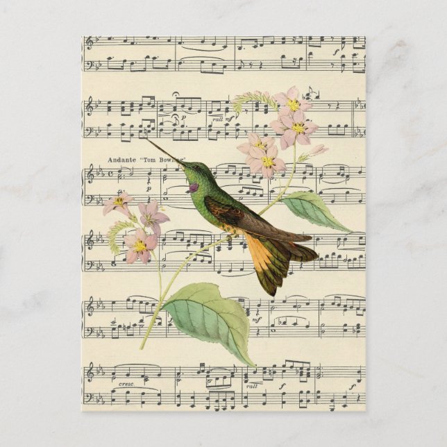 vintage postkort botanisk hummingbird-musik vykort (Framsida)