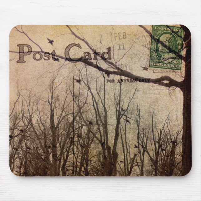Vintage-postkort Musmatta (Framsidan)