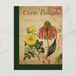 Vintage Postkortsblandning för botaniska Franskar Vykort
