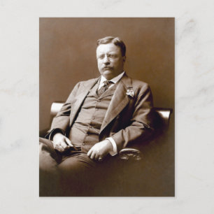 Vintage President Theodore Teddy Roosevelt Vykort