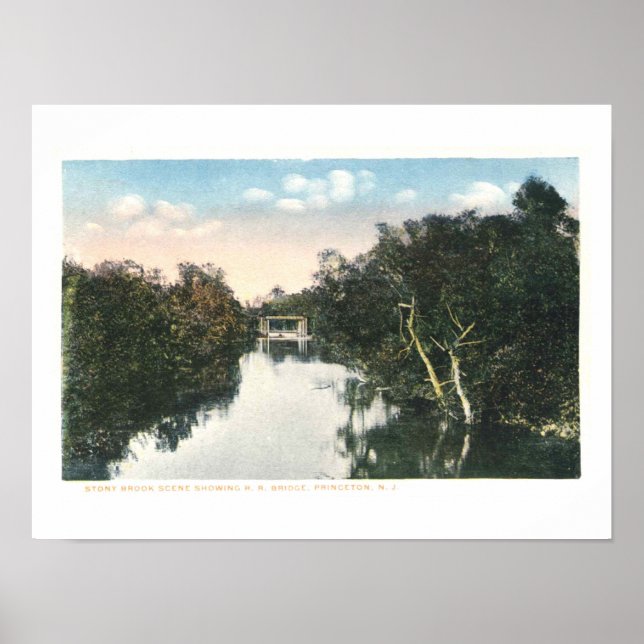 Vintage Princeton NJ Railroad 1920 Vintage Poster (Framsidan)