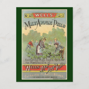Vintage Product Label Art, Wells May Apple Pilles Vykort