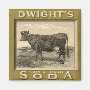 Vintage produktetikett, Dwights Bicarbonated Soda Magnet