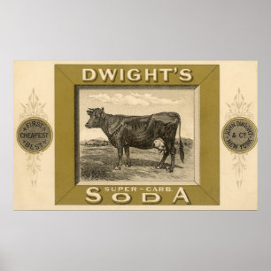 Vintage produktetikett, Dwights Bicarbonated Soda Poster