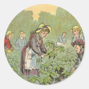 Vintage produktetikettkonst, Wells May Apple Pills Runt Klistermärke