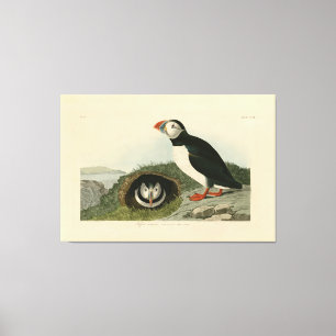 Vintage Puffin Illustration Canvastryck