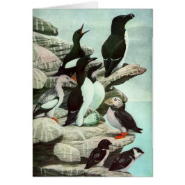 Vintage Puffins och Aquatic Birds av Louis Fuertes Hälsningskort