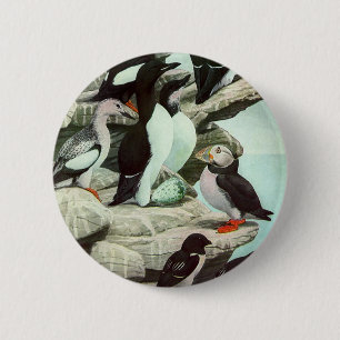 Vintage Puffins och Vattenlevande Fåglar av Louis Knapp