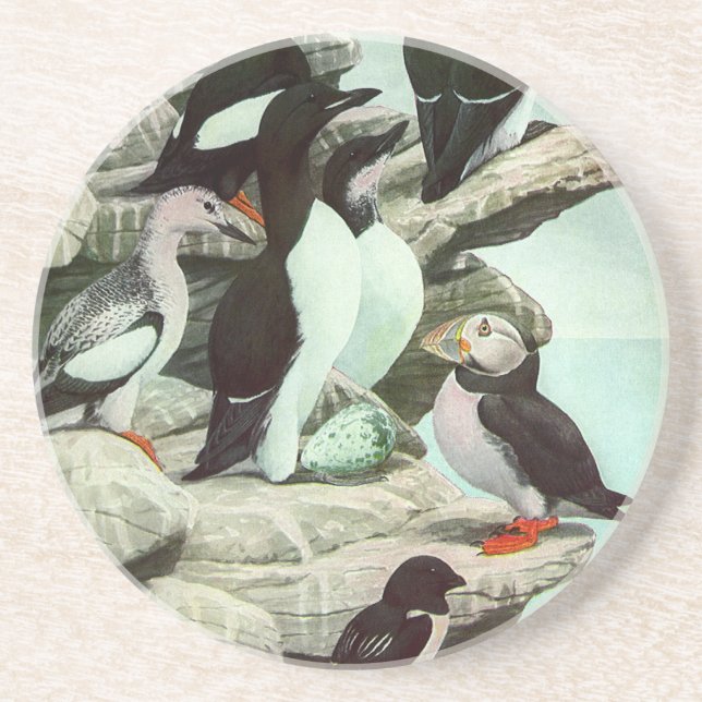 Vintage Puffins och Vattenlevande Fåglar av Louis  Underlägg (Framsidan)
