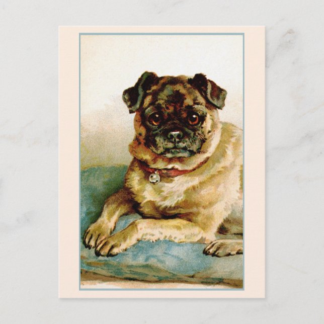 Vintage Pug Kärlek Vykort (Framsida)