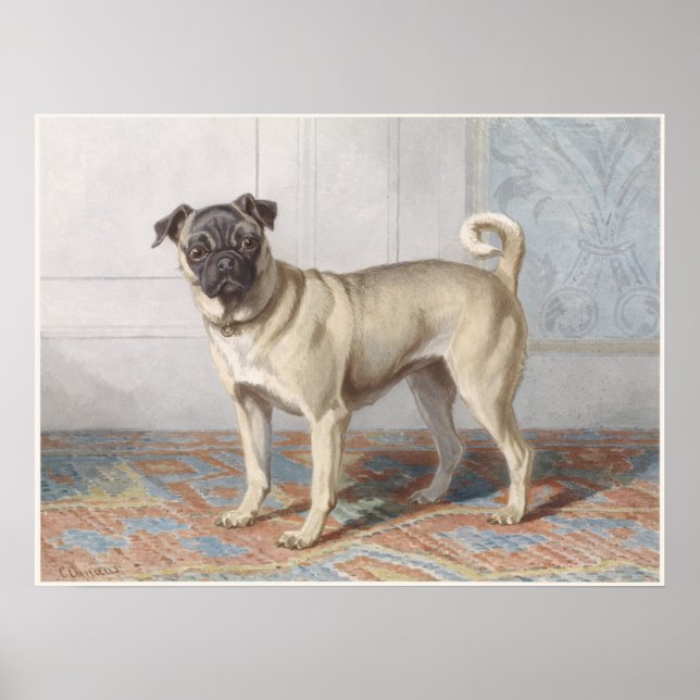 Vintage Pug Poster (Framsidan)