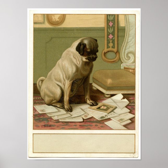 Vintage Pug Poster (Framsidan)