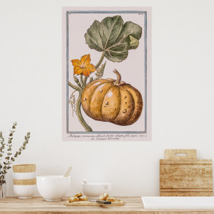 Vintage Pumpkin av Giorgio Bonelli Poster