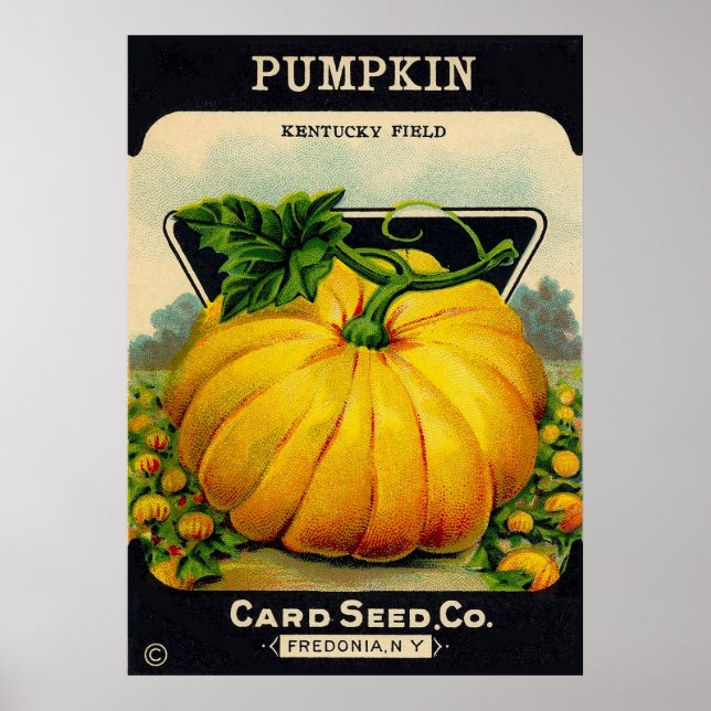 Vintage Pumpkin Seed Packet - Skriv ut Poster (Framsidan)