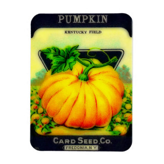 Vintage Pumpkin Seeds Packet - Magnet