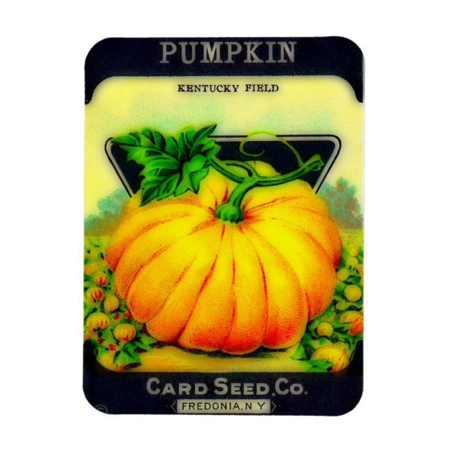 Vintage Pumpkin Seeds Packet - Magnet (Vertikal)