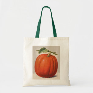 Vintage Pumpkin Tygkasse
