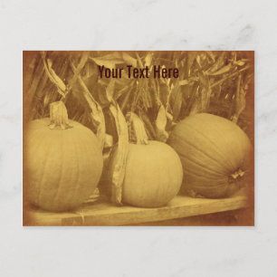 Vintage Pumpkins Cornstalks Anpassade Postcard Vykort
