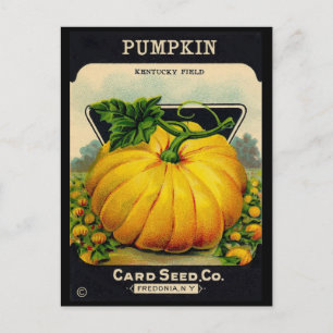 Vintage Pumplin Seed Ad Vykort