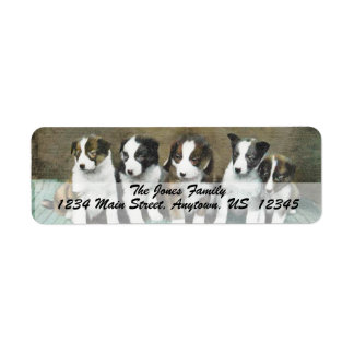 VINTAGE PUPPIES-Anpassningsbarnas Adressetiketter Returadress Etikett
