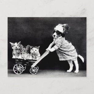 Vintage Puppies och Kittens vykort