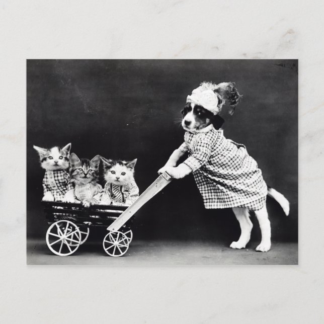 Vintage Puppies och Kittens vykort (Framsida)