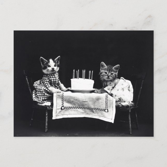 Vintage Puppies och Kittens vykort (Framsida)