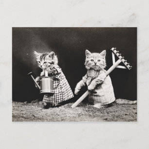 Vintage Puppies och Kittens vykort