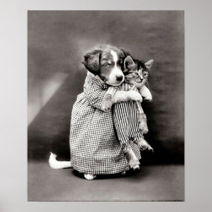 Vintage Puppy och Kitten Poster