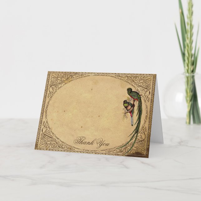 Vintage Quetzal-fågel Elegant tackkort (Framsida)