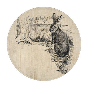 Vintage Rabbit Illustrated Bunny Art