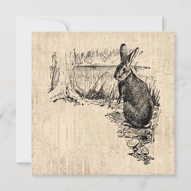 Vintage Rabbit Illustrated Bunny Art Julkort (Framsida)