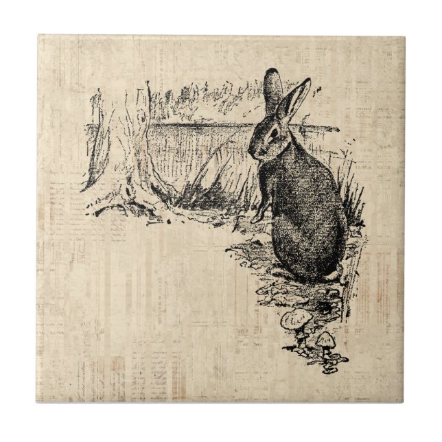 Vintage Rabbit Illustrated Bunny Art Kakelplatta (Framsidan)