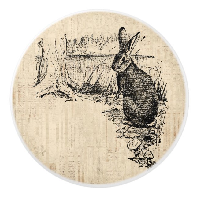 Vintage Rabbit Illustrated Bunny Art Knopp (Framsidan)