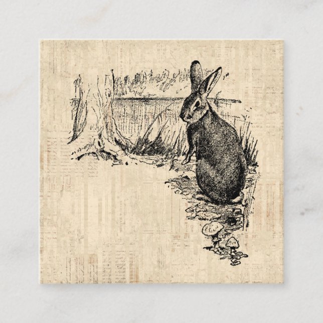 Vintage Rabbit Illustrated Bunny Art Tilläggskort (Framsida)