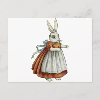 Vintage Rabbit Vykort
