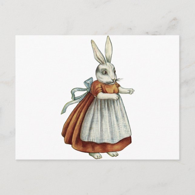 Vintage Rabbit Vykort (Framsida)