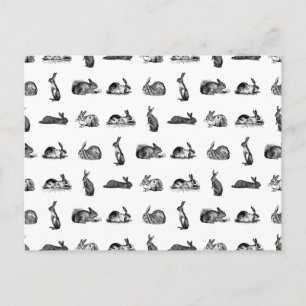 Vintage Rabbits Classic Bunnies ANPASSNINGSBAR BG  Vykort