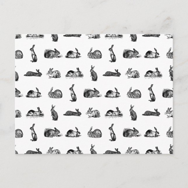 Vintage Rabbits Classic Bunnies ANPASSNINGSBAR BG  Vykort (Framsida)