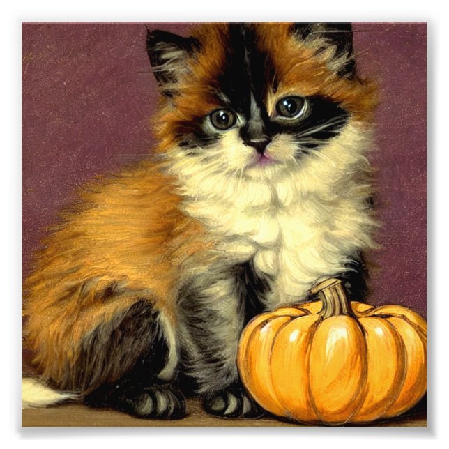 Vintage Ragdoll Halloween Cat Fototryck (Framsidan)