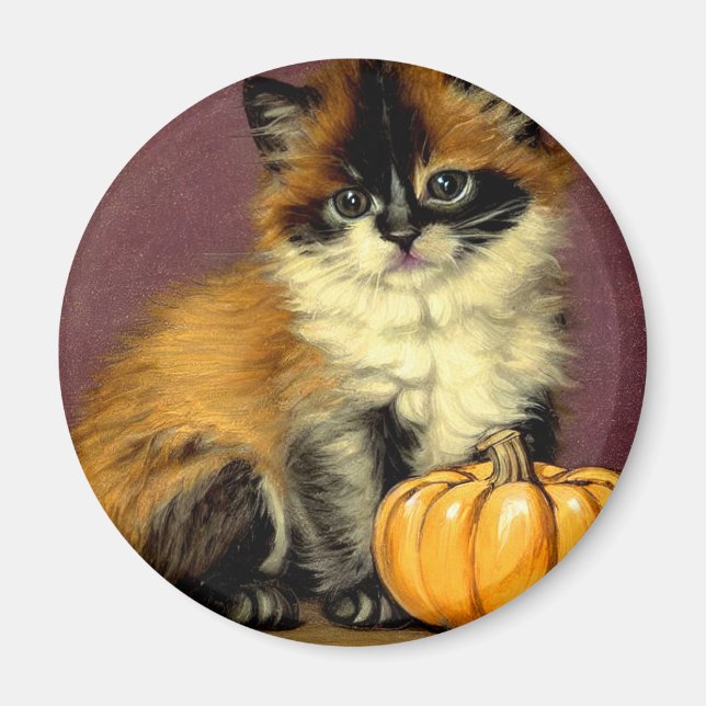 Vintage Ragdoll Halloween Cat Magnet (Framsidan)