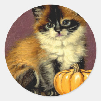 Vintage Ragdoll Halloween Cat Runt Klistermärke