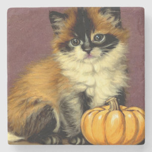 Vintage Ragdoll Halloween Cat Stenunderlägg