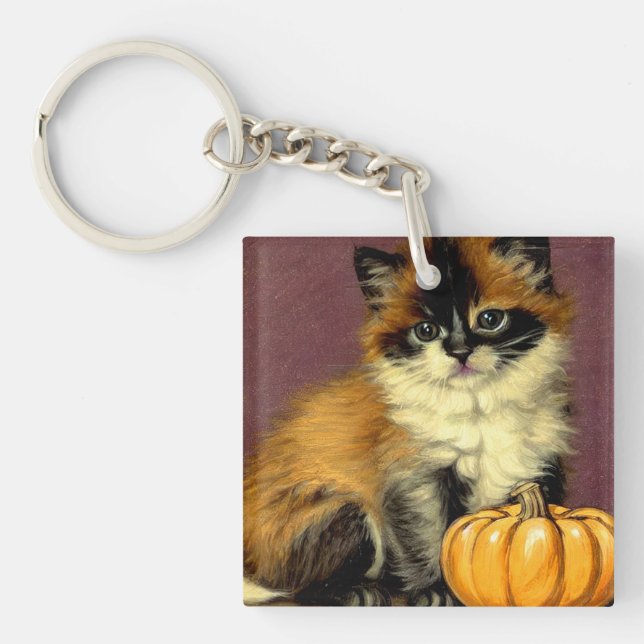 Vintage Ragdoll Halloween Katt (Framsidan)